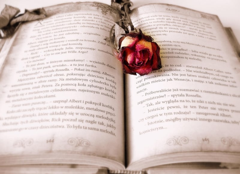 Educated book cover