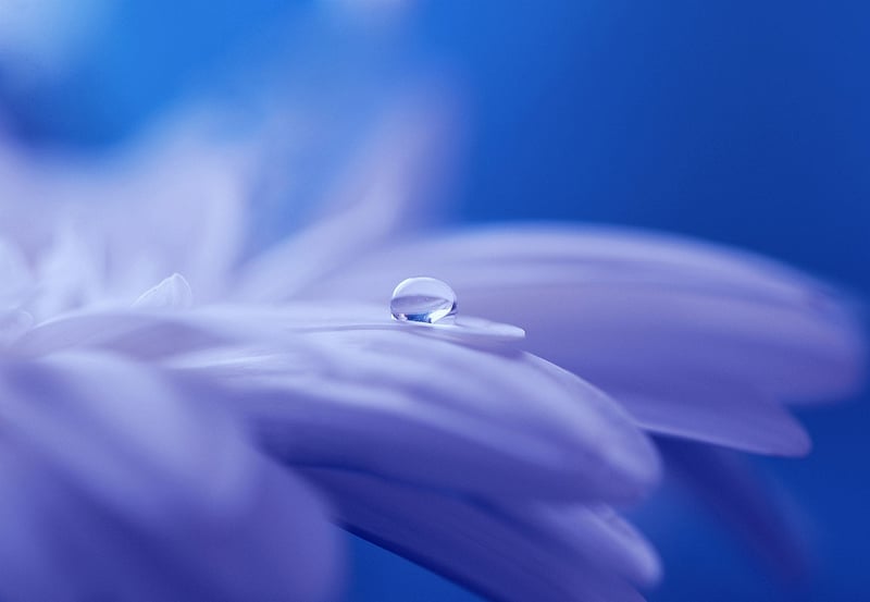 Dreamscapes