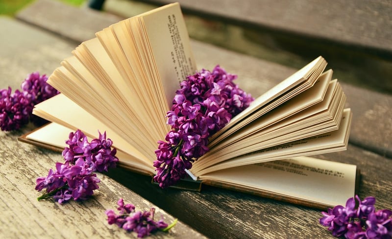 The Power of Habit book cover